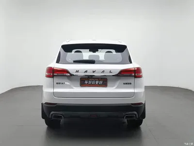 2019 Haval H7 2.0T Premium (China VI), фото 4, лот 11095554
