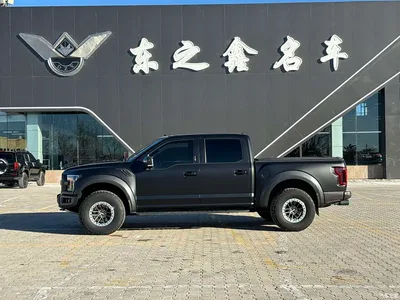 2019 Ford F-150 Raptor 3.5T Raptor Performance Enhanced Edition, фото 4, лот 10295761