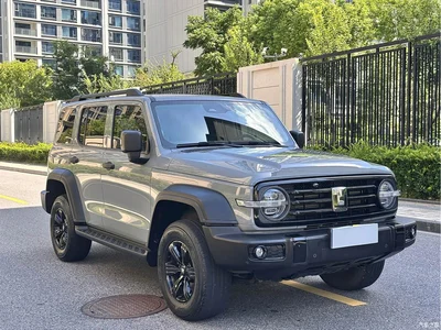 2021 Tank 300 Off-road Version 2.0T Conqueror, фото 3, лот 10356940