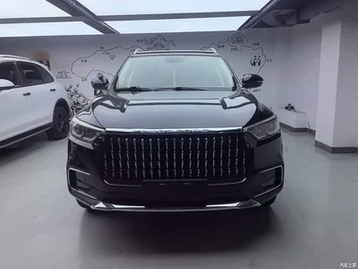 2018 Leopaard Mattu 1.6T GDI DCT Luxury, фото 3, лот 11643832
