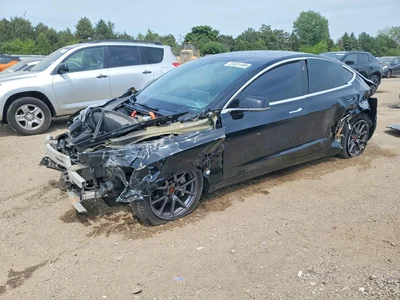 2019 TESLA MODEL 3, фото 1, лот 10661581
