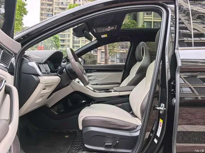 2025 BYD Song PLUS PHEV EV 520km Premium, фото 4, лот 10326850