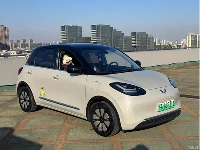 2024 Wuling Motors Wuling Bingo 410km Smart Premium Edition, фото 2, лот 11569941