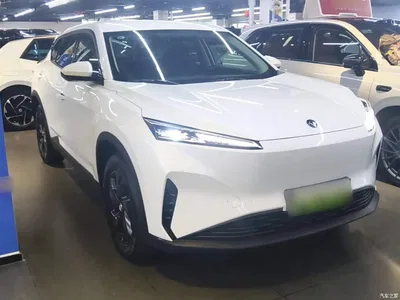 2024 Dongfeng Aeolus SKY EV01 530km PRO Elite Edition, фото 4, лот 10412454