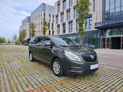 2018 Buick GL8 28T Luxury Model China VI, фото 3, лот 11178292