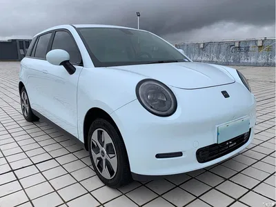 2024 JAC Yiwei Yiwei 3 Beloved Edition 330km Lite, фото 3, лот 11196540