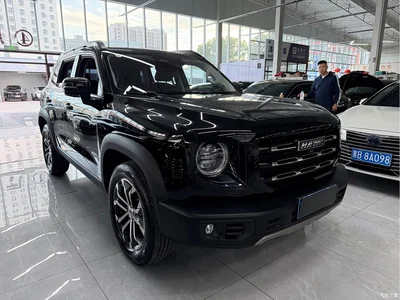 2022 Haval Big Dog 1.5T DCT FWD Border Collie Edition, фото 3, лот 10416341