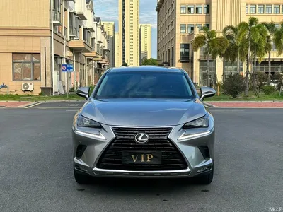 2018 Lexus NX Model 200 FWD Fengxing Edition China V, фото 4, лот 11248576