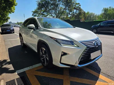 2016 Lexus RX 300 4WD Elegance Edition (China V), фото 3, лот 10311741