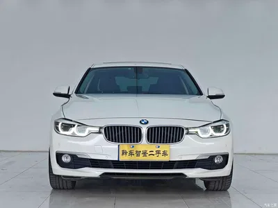 2018 BMW 3 Series 320Li Fashion Style, фото 2, лот 10457272