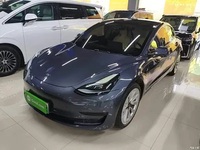 2022 Tesla Model 3 Model Rear-Wheel Drive Version, фото 1, лот 10370188