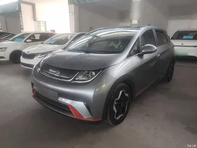 2021 BYD Dolphin Model 405km Fashion Edition, фото 2, лот 11090016