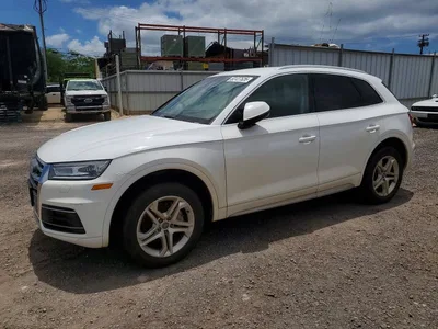 2019 AUDI Q5 PREMIUM, фото 1, лот 10637863