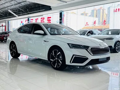 2023 Škoda Octavia PRO TSI280 Premium Edition, фото 3, лот 10450320