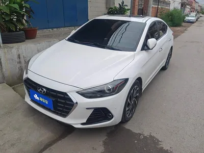 2019 Hyundai Elantra 1.4T Dual-clutch XuanDong·Vitality Type, фото 1, лот 10371981