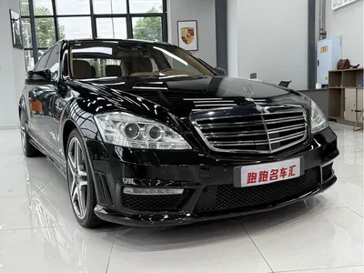 2010 Mercedes-Benz S-Class AMG AMG S 65, фото 3, лот 10890379
