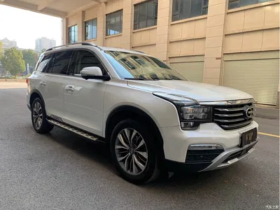 2017 GAC Trumpchi Trumpchi GS8 320T 2WD Luxury Smart Connect (7-seater), фото 3, лот 10894580