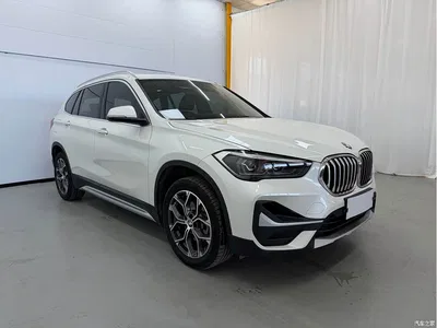 2020 BMW X1 sDrive20Li Premium Edition, фото 3, лот 10467145