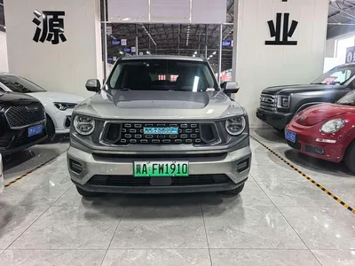 2023 Haval Second-Generation Big Dog New Energy DHT-PHEV 105km Trend Electric Edition, фото 3, лот 11170922