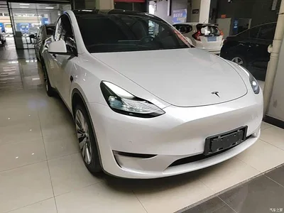 2021 Tesla Model Y Standard Range Rear-Wheel Drive, фото 4, лот 10389542