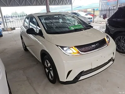2025 BYD Dolphin 420km Freedom Edition, фото 4, лот 10264244