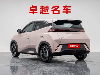 2023 BYD Seagull Freedom Edition, фото 4, лот 10245934