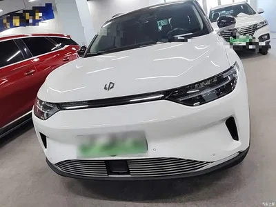 2021 Leapmotor C11 Model Premium Edition, фото 3, лот 10442025