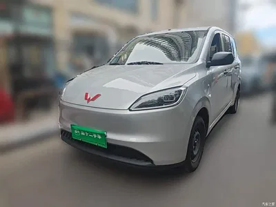 2024 Wuling Motors Wuling Hongguang New Energy Model Pure Electric 300KM Utility Version, фото 2, лот 11148132