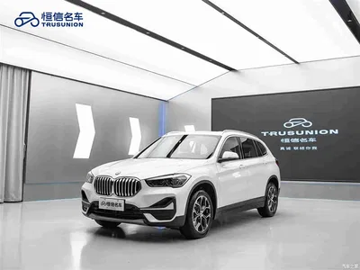 2021 BMW X1 sDrive25Li Leading, фото 3, лот 11221412