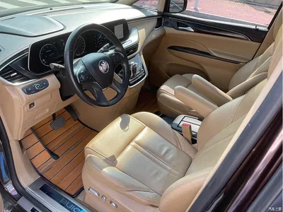 2020 Buick GL8 Model ES Landglory 653T Luxury, фото 4, лот 11137484
