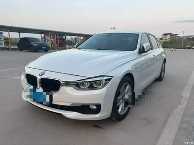 2017 BMW 3 Series 320Li Fashion, фото 1, лот 10890004