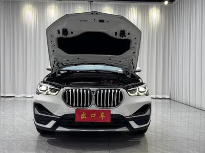 2020 BMW X1 sDrive20Li Premium Edition, фото 4, лот 10466880