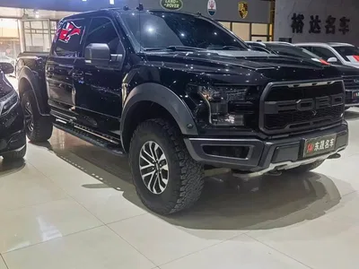 2019 Ford F-150 Raptor 3.5T Raptor Performance Enhanced Edition, фото 1, лот 10299089