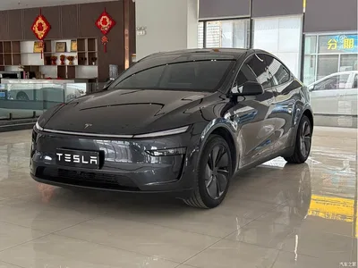 2025 Tesla Model Y Rear-Wheel Drive, фото 1, лот 10606280