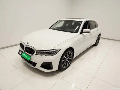2021 BMW 3 Series Facelift 320Li M Sport Package, фото 3, лот 10458088