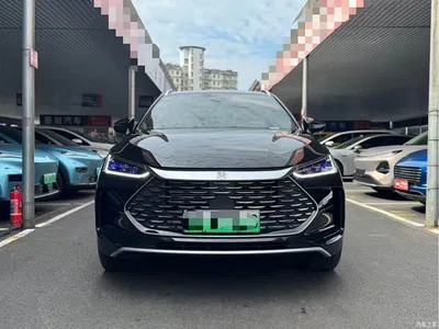 2024 BYD Tang New Energy Model DM-i Glory Edition 112KM Flagship Type, фото 2, лот 10273976
