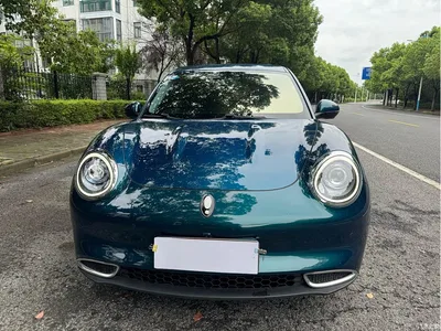 2021 Ora Good Cat 400km Standard Range Athena Edition (LFP), фото 1, лот 10332239