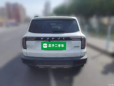 2021 Haval Big Dog 1.5T DCT 2WD Labrador Edition, фото 3, лот 10361698