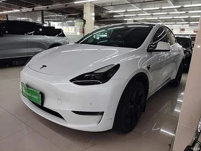 2022 Tesla Model Y Long Range AWD, фото 1, лот 10370135