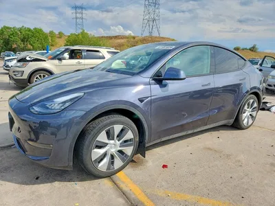 2021 TESLA MODEL Y, фото 1, лот 10852307