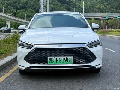 2024 BYD Qin PLUS Glory Edition DM-i 55KM Leading, фото 2, лот 11215199