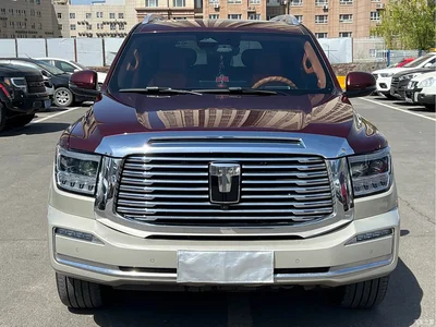 2023 Tank 500 3.0T Special Custom Edition (5-seater), фото 2, лот 10344994