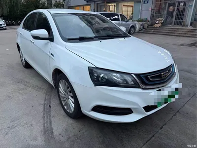 2017 Geely Emgrand New Energy EV300 Progressive, фото 3, лот 11135982