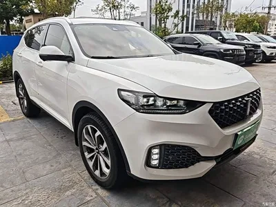 2020 WEY VV6 2.0T 2WD Smart Enjoy+, фото 4, лот 11518749