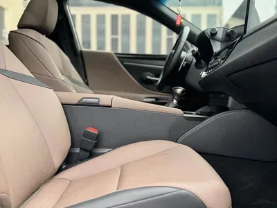 2022 Lexus ES 200 Excellence Edition, фото 4, лот 10311104