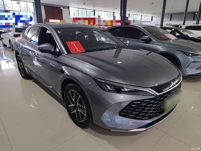 2025 BYD Qin L DM-i Smart Drive Edition 120KM Surpassing, фото 4, лот 10260642