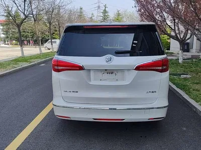 2017 Buick GL8 ES 28T Luxury China V, фото 3, лот 10257468