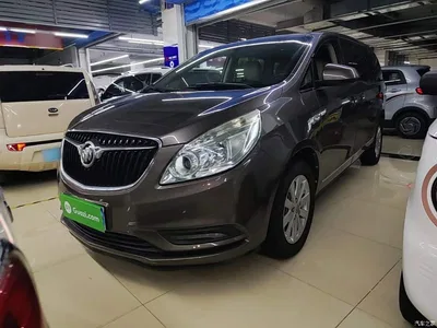 2017 Buick GL8 25S Premium Model China V, фото 1, лот 10258566