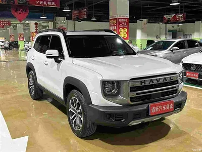 2024 Haval Big Dog Model 1.5T DCT Labrador Edition, фото 3, лот 11181308