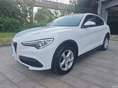 2017 Alfa Romeo Stelvio 2.0T 200HP Elite, фото 1, лот 11003342